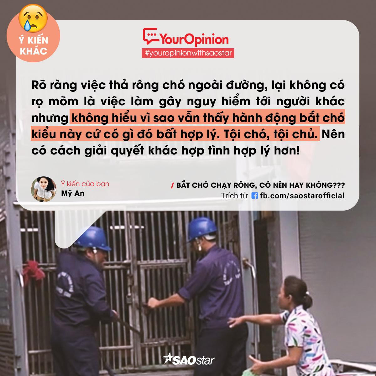 #YourOpinion: Bùng nổ tranh cãi về việc bắt chó thả rông và tiêu huỷ sau 72h chủ không đến nhận Ảnh 7