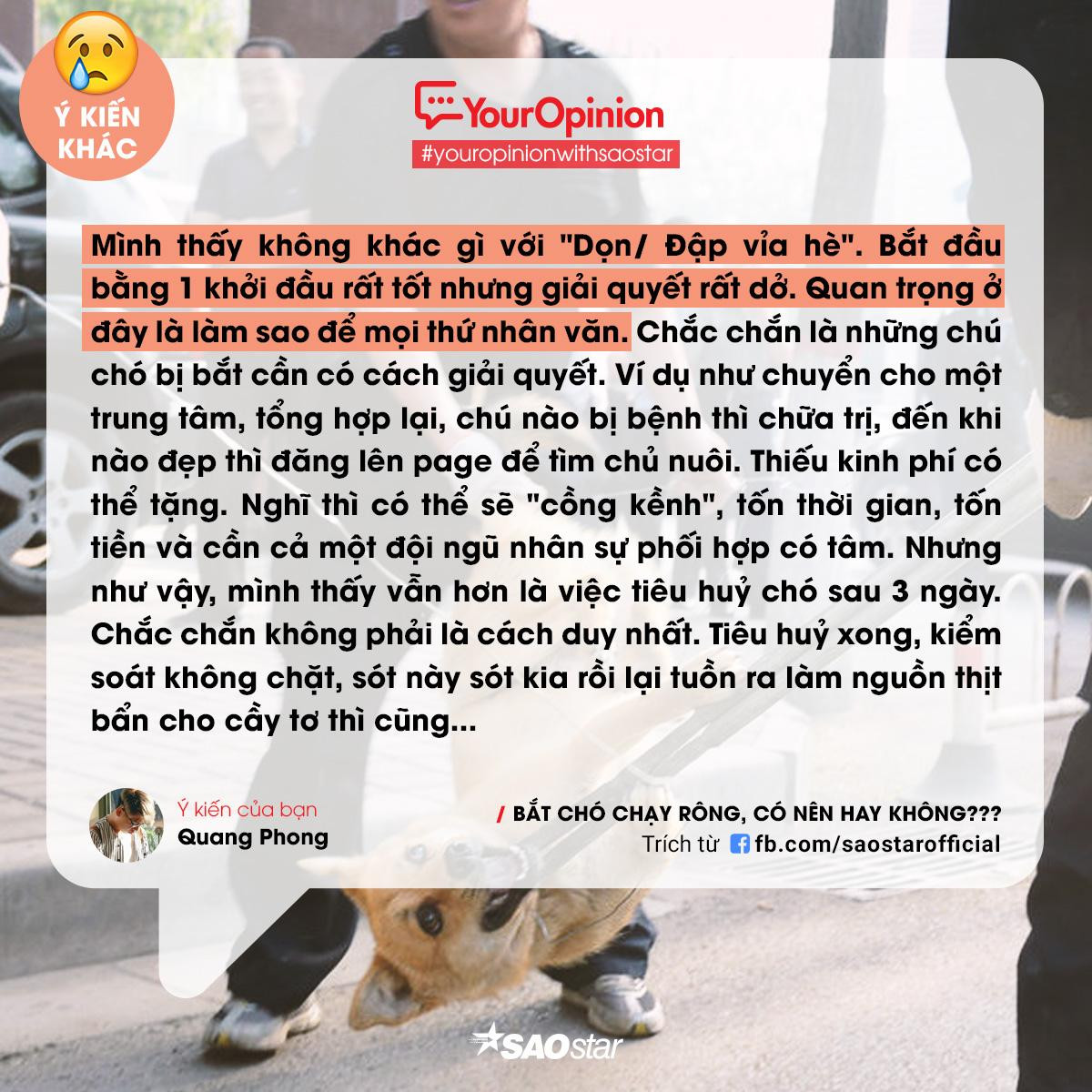 #YourOpinion: Bùng nổ tranh cãi về việc bắt chó thả rông và tiêu huỷ sau 72h chủ không đến nhận Ảnh 9