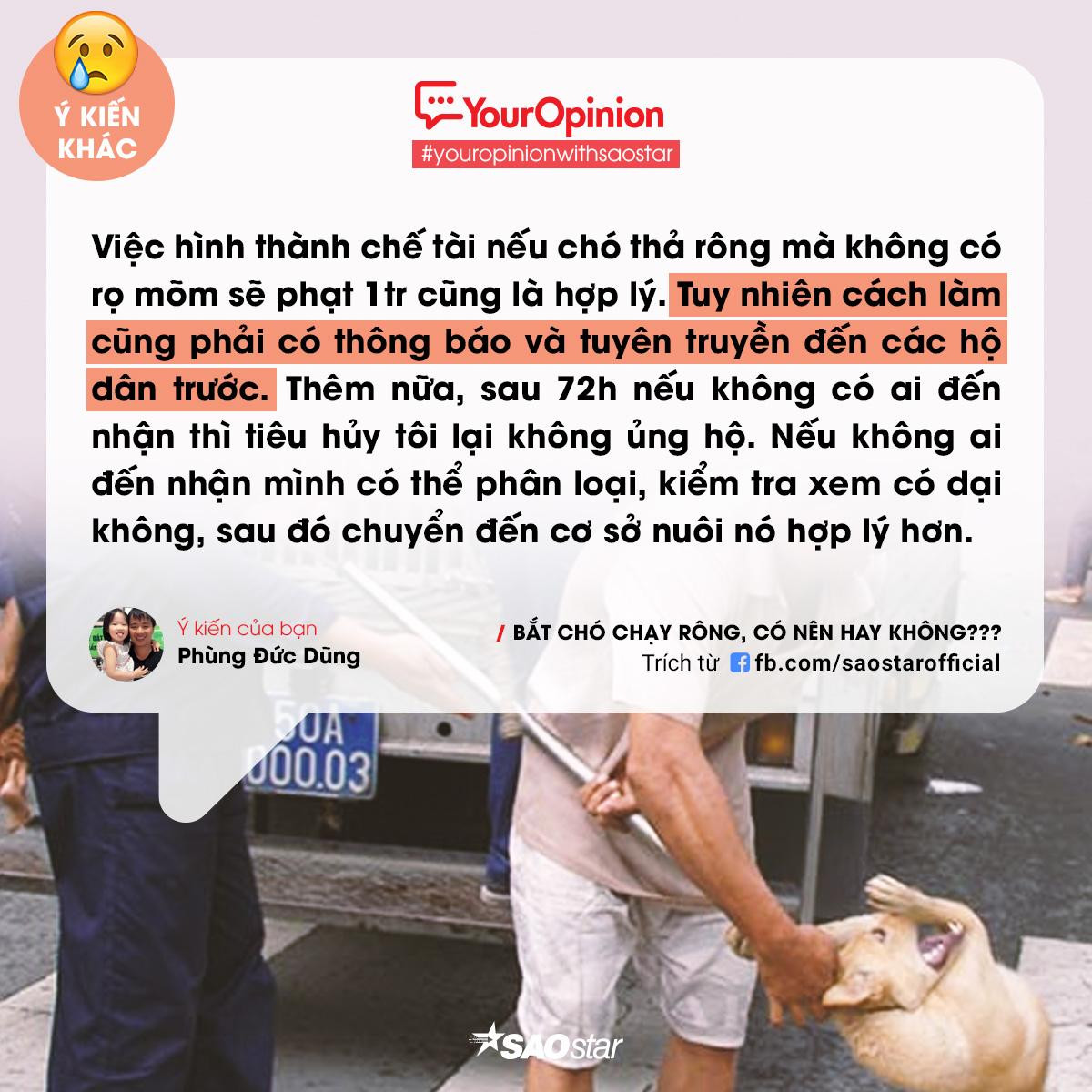 #YourOpinion: Bùng nổ tranh cãi về việc bắt chó thả rông và tiêu huỷ sau 72h chủ không đến nhận Ảnh 1