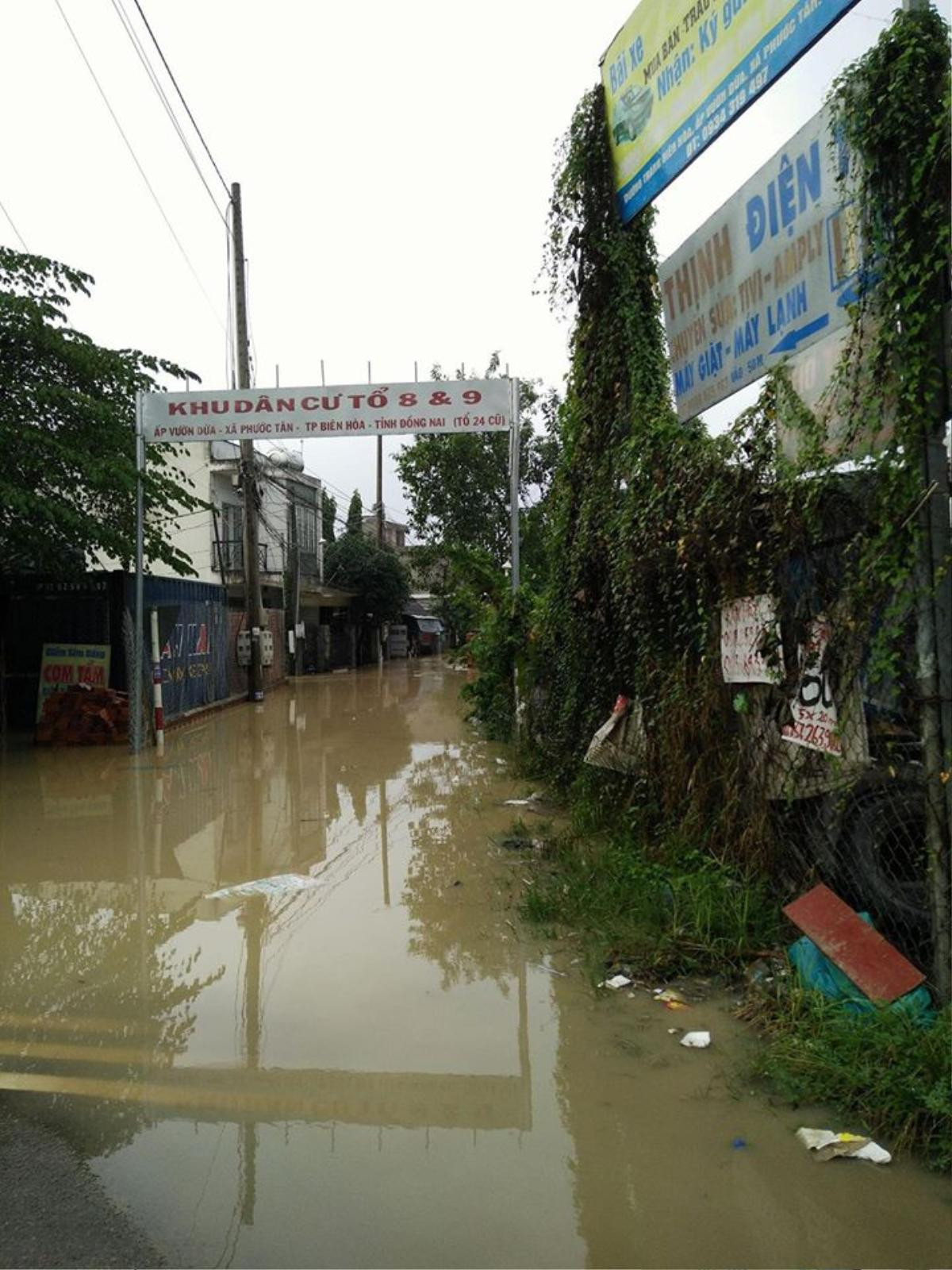 Đồng Nai: Mưa khủng khiếp khiến hàng trăm nhà dân ngập nặng, trường học đóng cửa Ảnh 9