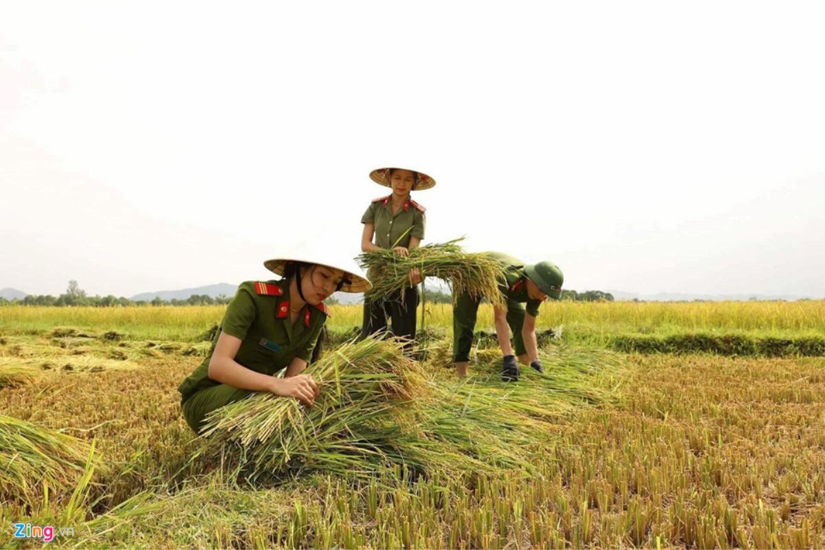 Người dân chằng chéo nhà cửa trước cơn bão mạnh nhất năm Ảnh 13