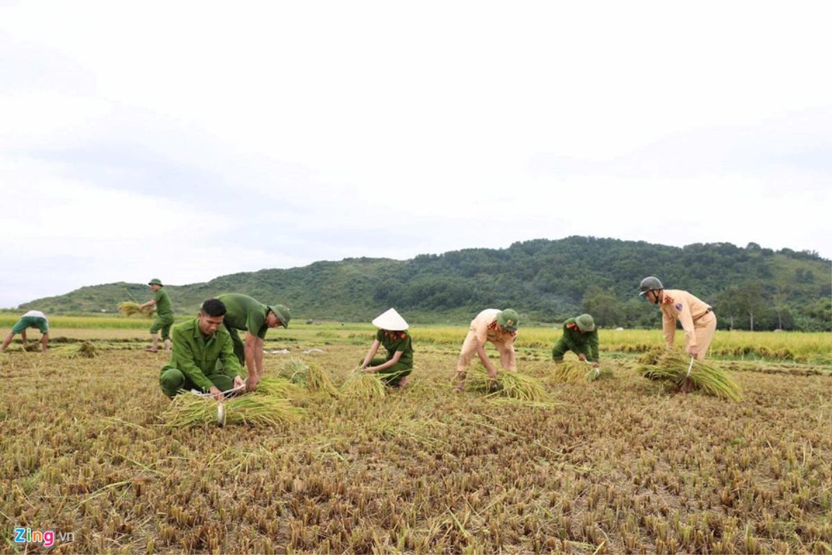 Người dân chằng chéo nhà cửa trước cơn bão mạnh nhất năm Ảnh 12