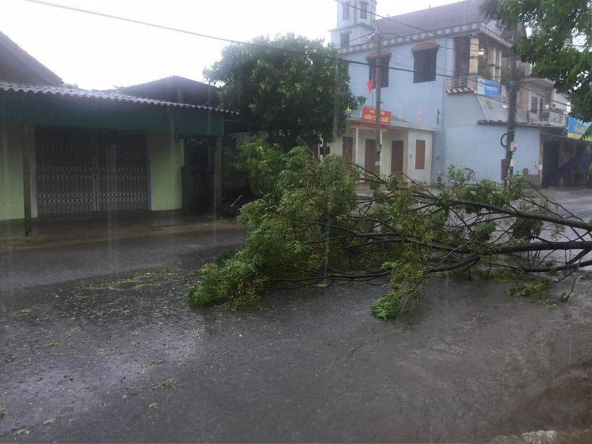 Chùm ảnh: Khung cảnh hoang tàn nơi cơn bão số 10 quét qua Ảnh 14