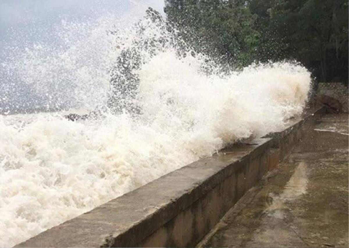 Chùm ảnh: Khung cảnh hoang tàn nơi cơn bão số 10 quét qua Ảnh 27