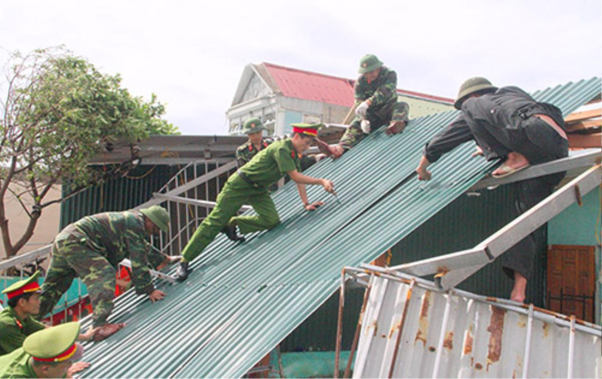 Cây đổ sau bão khiến hai người chết Ảnh 1