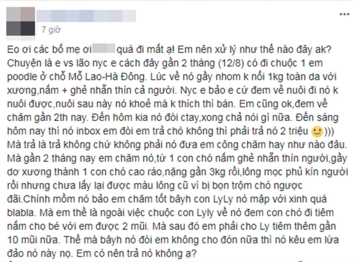 Cười ra nước mắt với câu chuyện chia tay đòi… chó xôn xao mạng xã hội Ảnh 1