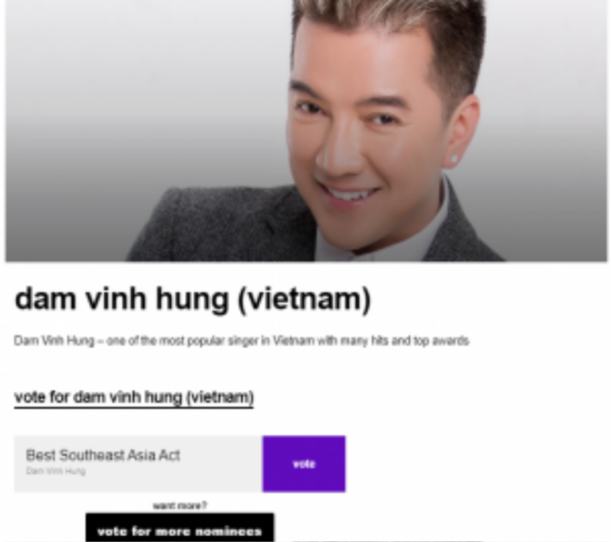 Mr Đàm tại 'MTV EMA 2017': 'Tôi sẽ đầu tư 100% công sức' Ảnh 3