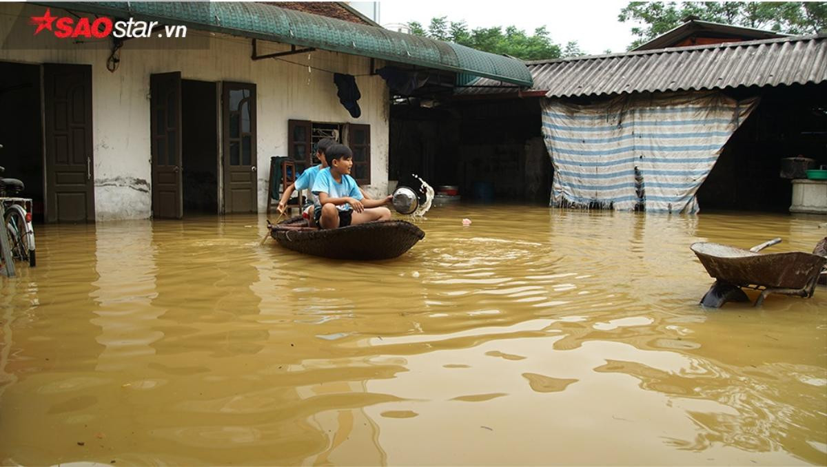 Nước lũ ngập sâu, người Hà Nội giăng lưới đánh cá ngay trong nhà Ảnh 11