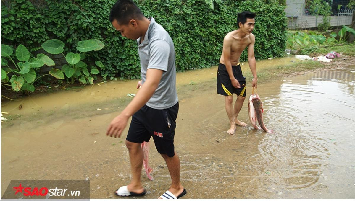 Nước lũ ngập sâu, người Hà Nội giăng lưới đánh cá ngay trong nhà Ảnh 10