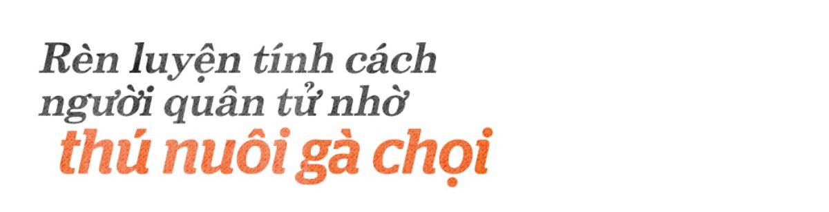 Người đàn ông 50 năm chơi gà chọi: 'Có chiến kê đáng giá vài chục triệu, tôi chỉ cho chứ không bán' Ảnh 1