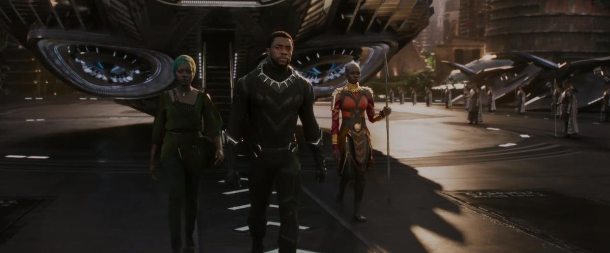 Trailer mới của phim 'Black Panther' hé lộ cuộc chiến khốc liệt giữa 'Báo Đen' và 'Báo Đốm' Ảnh 9