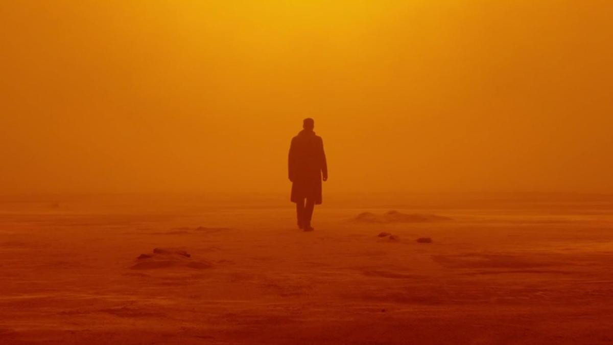 Nếu nghĩ 'Blade Runner 2049' là phim hành động thì bạn đã lầm Ảnh 9