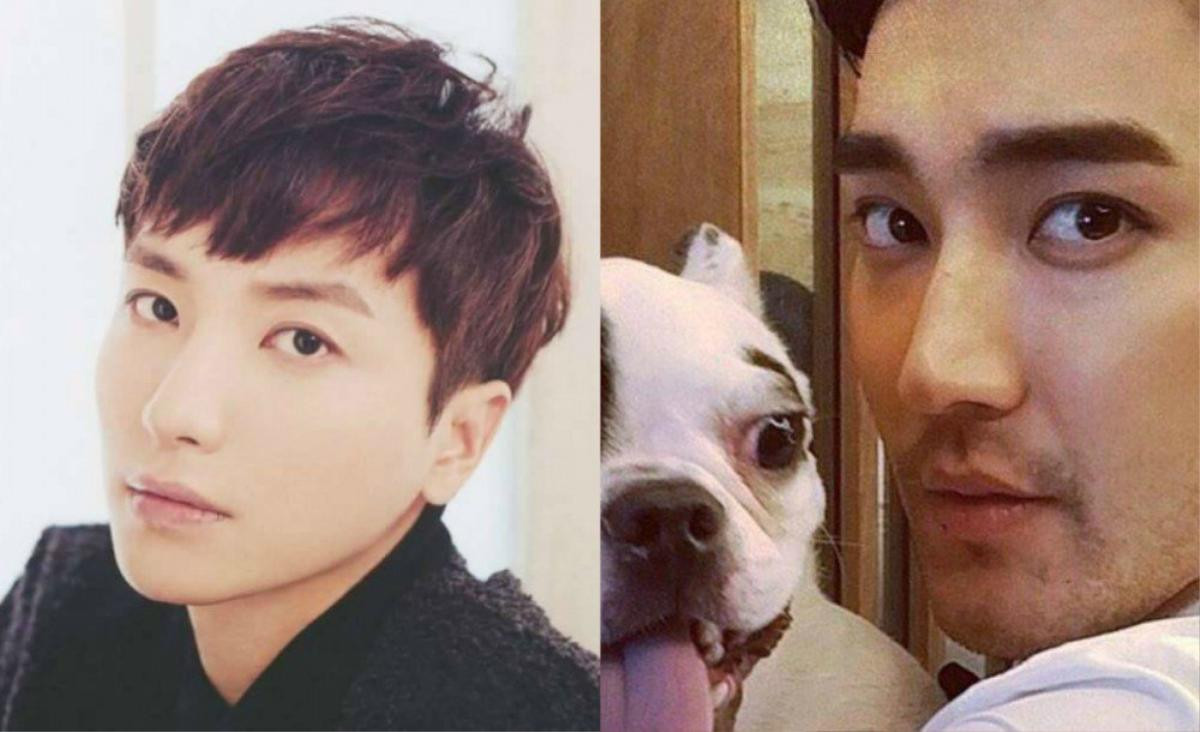 Phát hiện chó của Siwon từng có tiền sử cắn cả Leeteuk, K-net phẫn nộ: 'Anh ấy có thể đã chết nếu hệ miễn dịch yếu' Ảnh 2