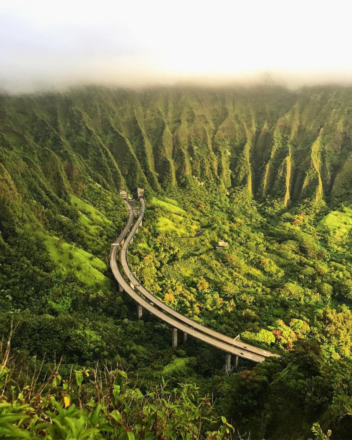 Con đường mang tên 'nấc thang lên thiên đường' ở Hawaii Ảnh 3