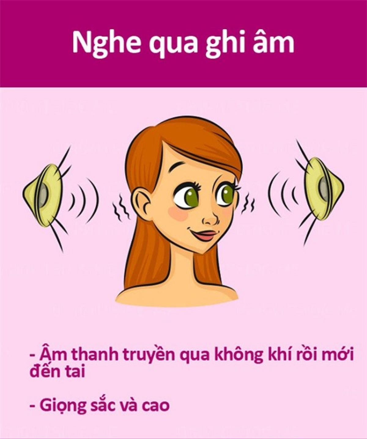 Tại sao giọng nói khi nghe qua điện thoại hay thu âm lại khác với thực tế? Ảnh 2