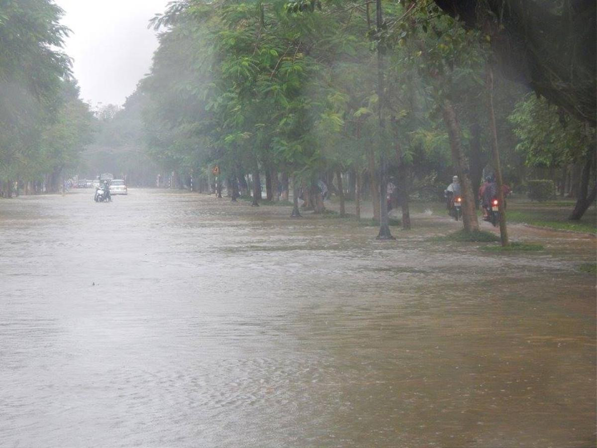 Lũ lên cực nhanh, Thừa Thiên - Huế, Quảng Nam chìm trong biển nước Ảnh 1