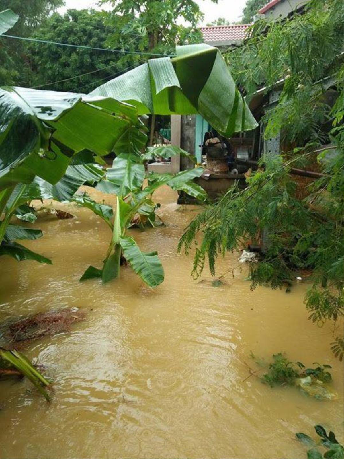 Lũ lên cực nhanh, Thừa Thiên - Huế, Quảng Nam chìm trong biển nước Ảnh 11