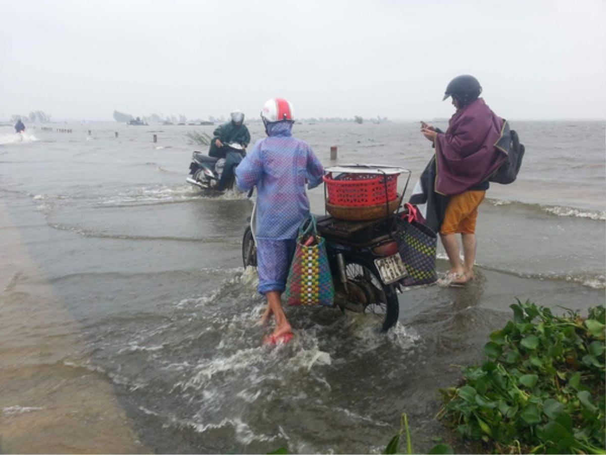 Thừa Thiên - Huế: Lũ trên sông Bồ sẽ vượt đỉnh lũ lịch sử năm 1999 Ảnh 12