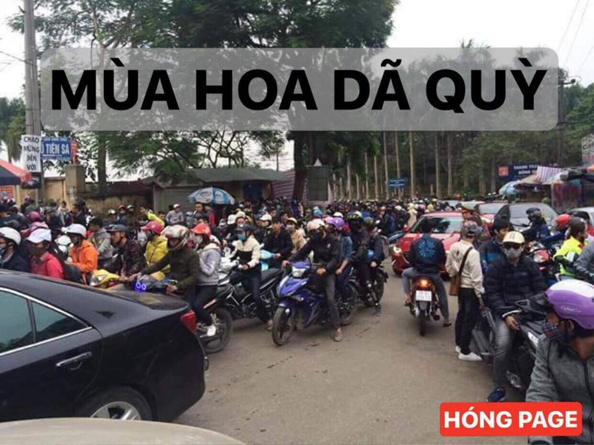 Hàng nghìn phượt thủ đổ xô lên Ba Vì ngắm hoa dã quỳ Ảnh 1