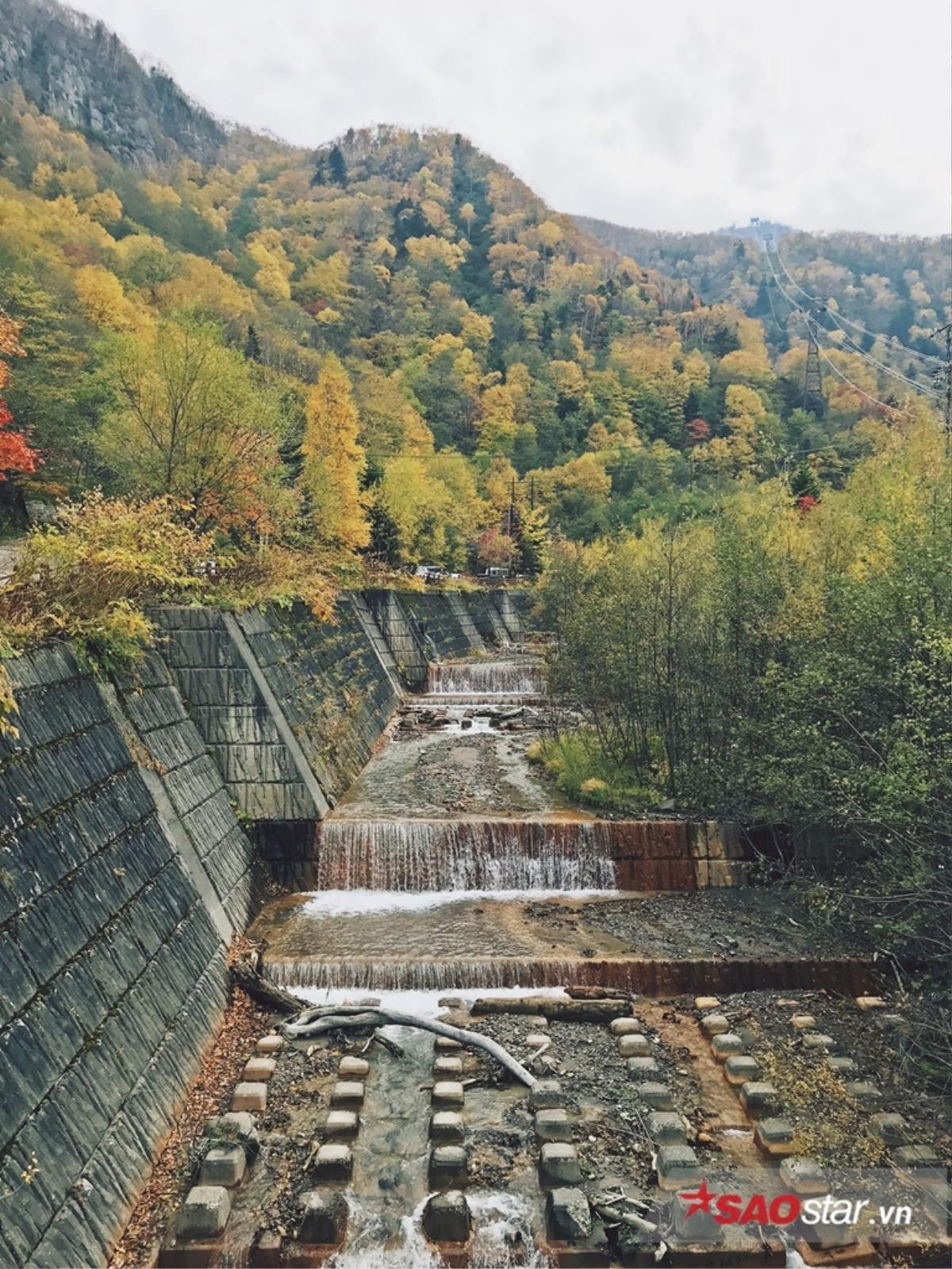 Những địa điểm ngắm lá đỏ đẹp nhất ở Hokkaido, Nhật Bản Ảnh 9