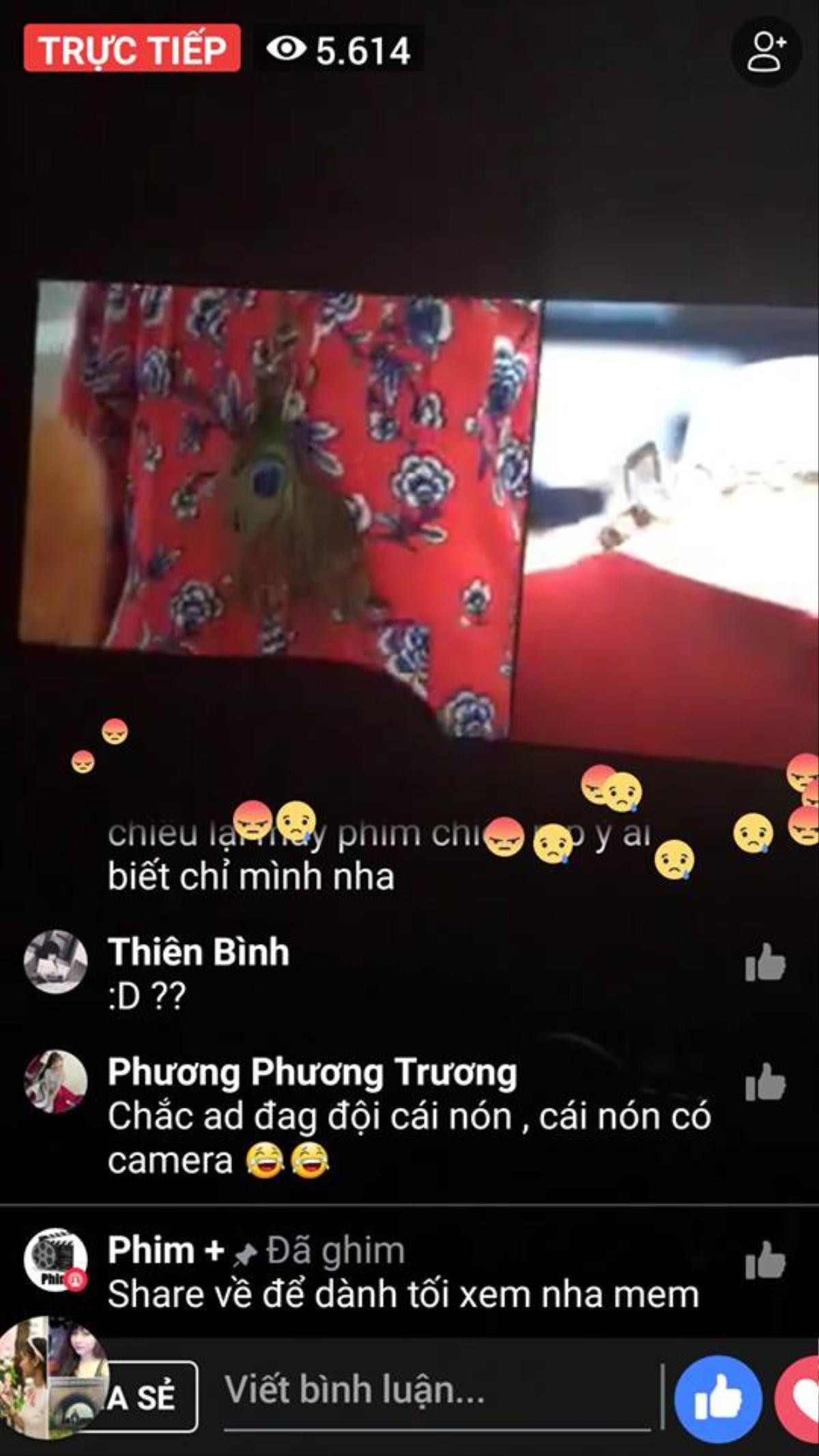 Không thể tin có nhiều người ủng hộ việc livestream phim 'Cô Ba Sài Gòn' Ảnh 1