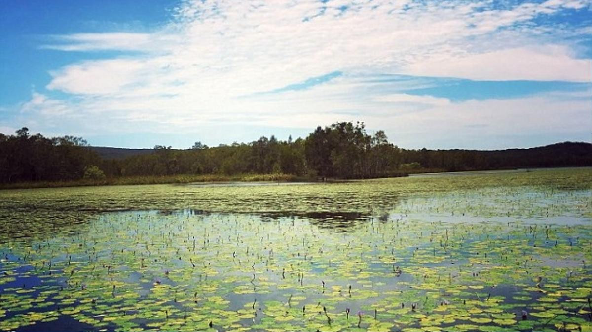 Những điều độc đáo mà bạn chỉ có thể trải nghiệm ở Queensland - Úc Ảnh 1