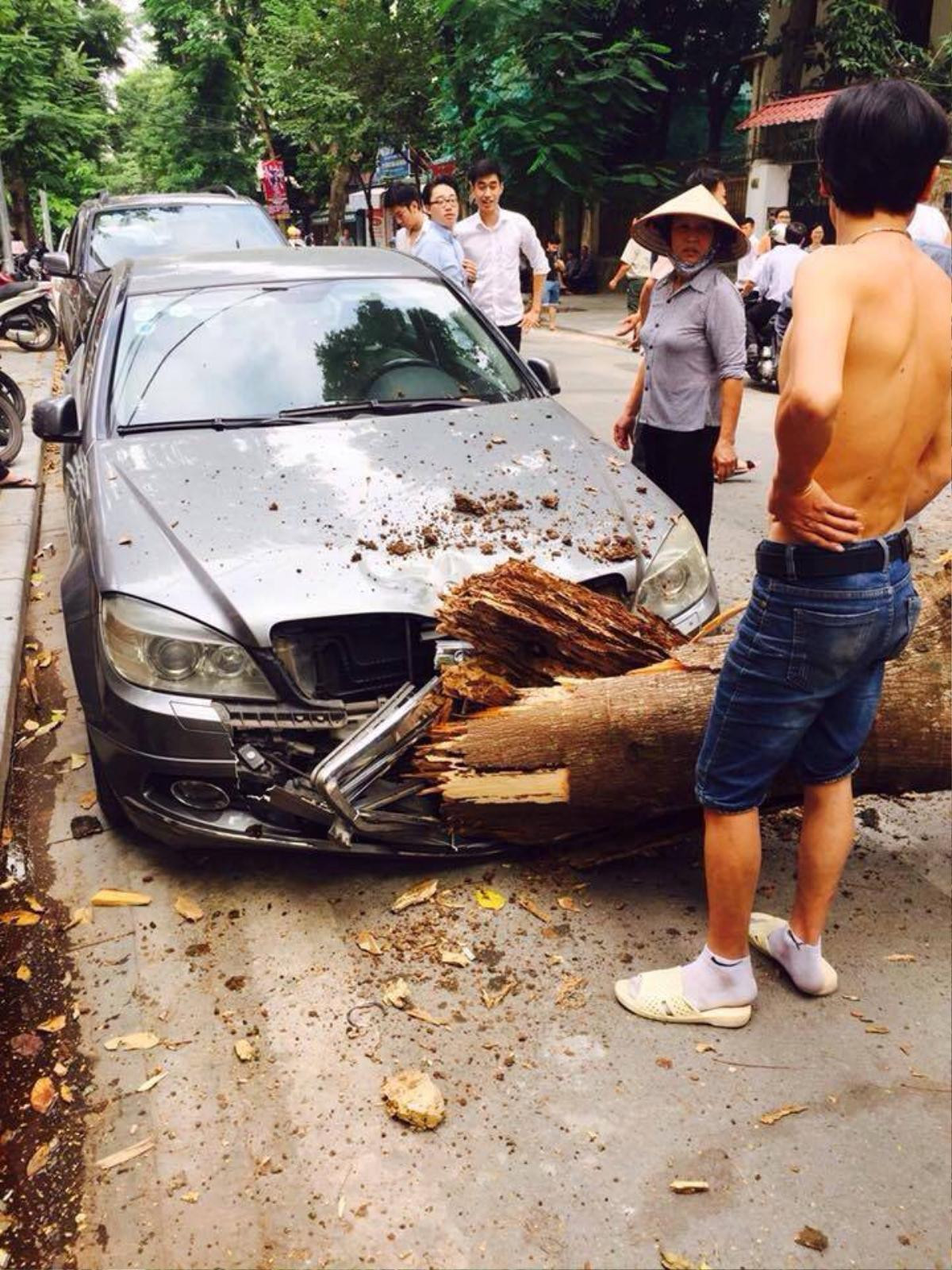 Hà Nội: Cây xanh gãy đổ đè hỏng ô tô và hàng loạt biển hiệu của người dân Ảnh 2