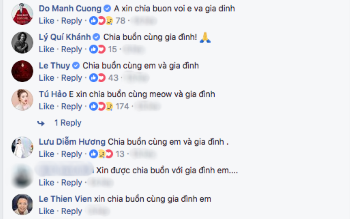 Tú Hảo và nhiều nghệ sĩ Việt chia buồn trước thông tin ông của Lan Khuê qua đời Ảnh 2