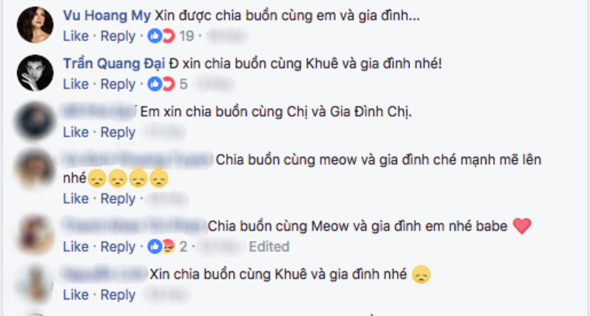 Tú Hảo và nhiều nghệ sĩ Việt chia buồn trước thông tin ông của Lan Khuê qua đời Ảnh 3