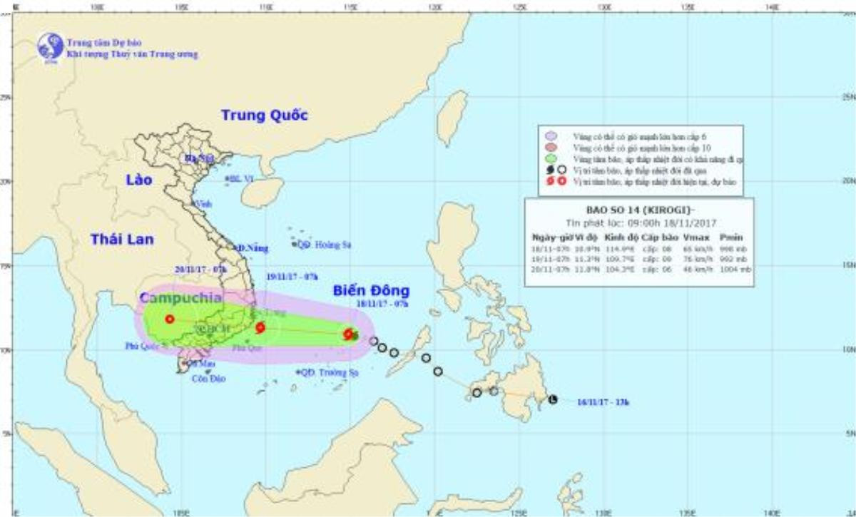 Bão số 14 giật cấp 11, TP. HCM họp khẩn ứng phó bão Ảnh 1