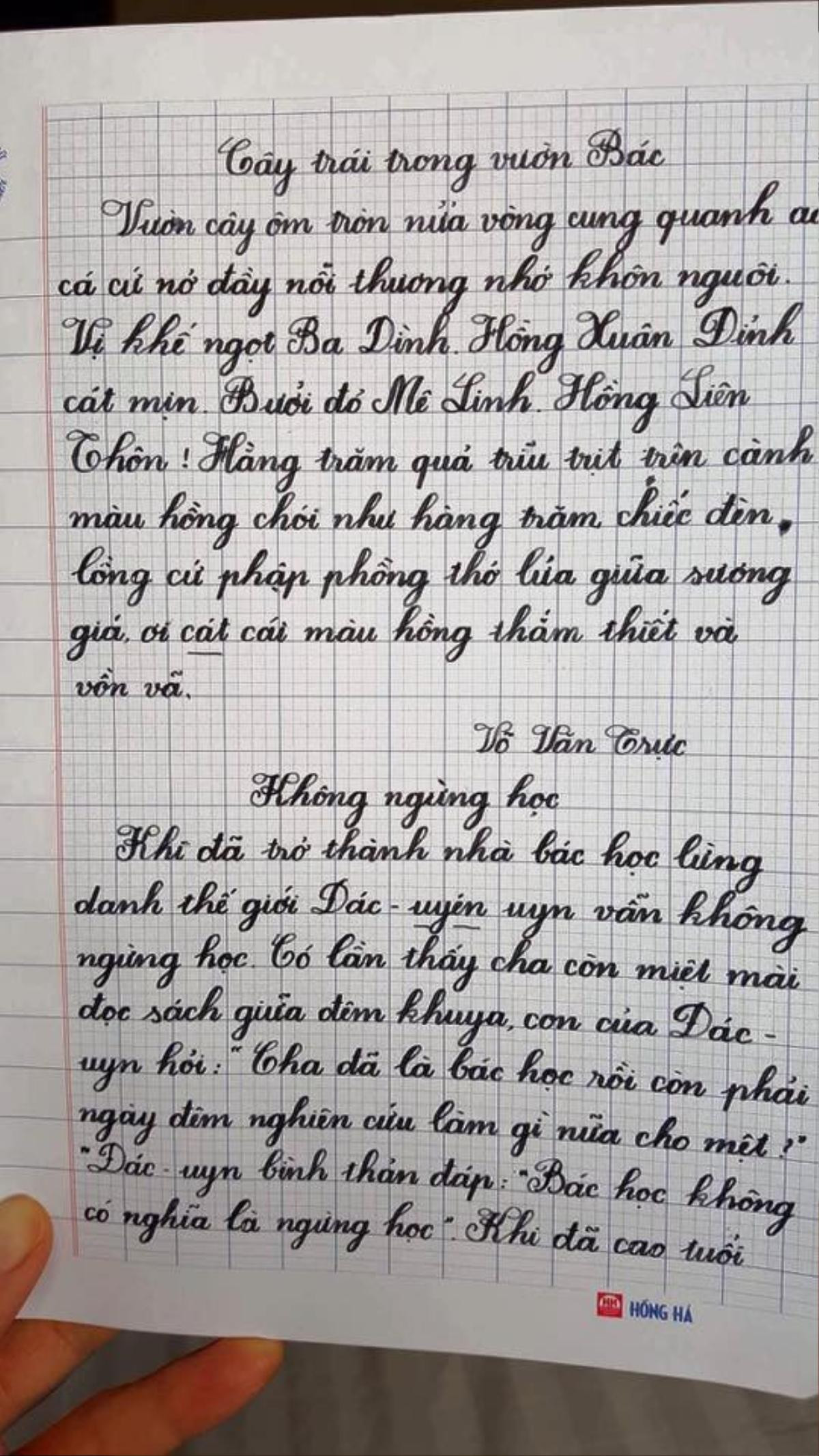 Cô giáo luyện chữ đẹp ở Hà Nội: 'Có thời điểm nhắm mắt vào chỉ thấy chữ, mở mắt ra chỉ nghĩ đến học sinh' Ảnh 2