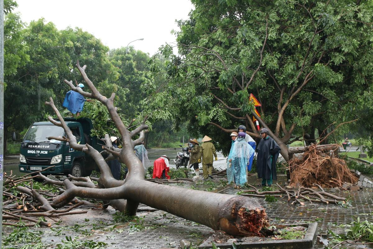 TP. HCM: Làng Đại học Thủ Đức tan hoang sau mưa lớn kéo dài Ảnh 1