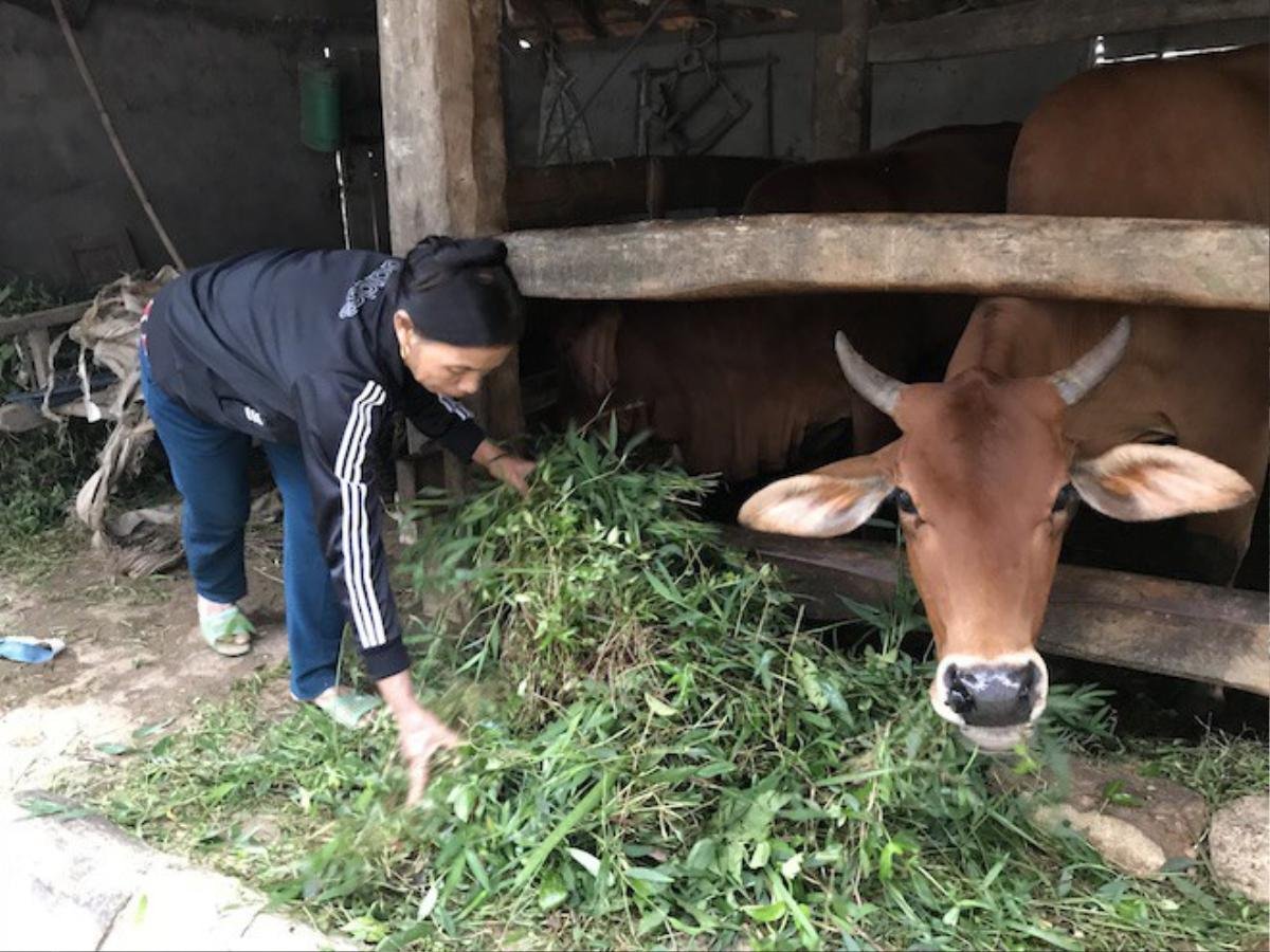 Cô giáo mầm non nhận lương hưu 1,3 triệu tự thưởng cho mình bộ quần áo thể thao nhân 20/11 Ảnh 5