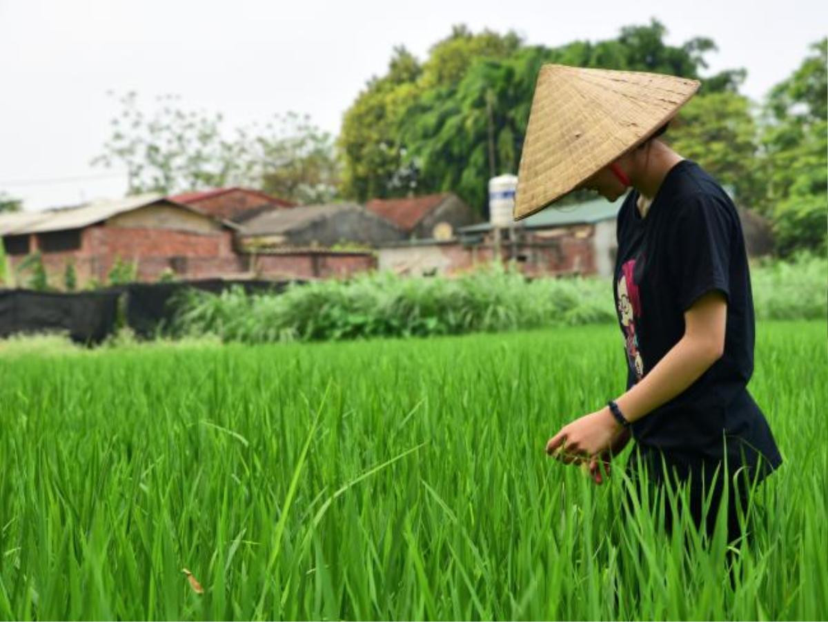 Khám phá Hà Nội không 'bon chen' theo lời khuyên của một phóng viên người Úc Ảnh 1