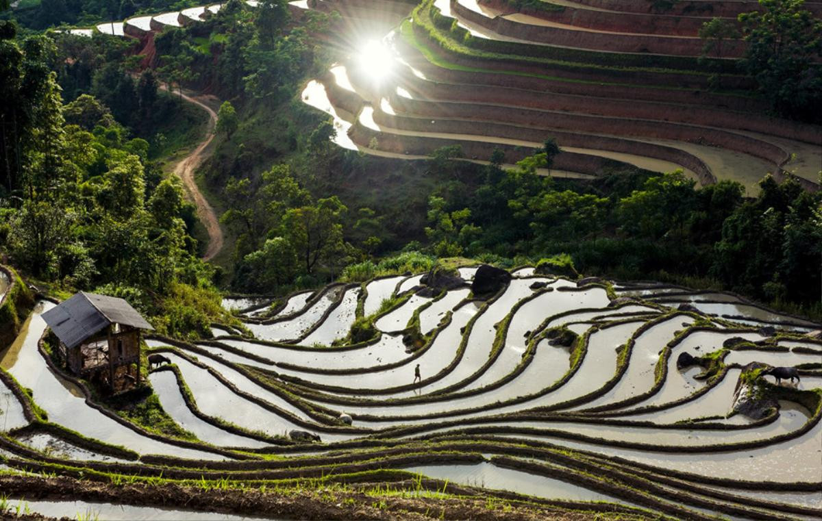 Mù Cang Chải quen rồi, sao bạn không 'đổi gió' khám phá Hoàng Su Phì? Ảnh 1