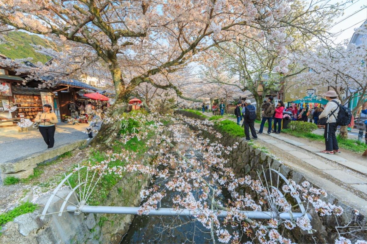 Cố đô Kyoto: Những địa điểm du khách không thể bỏ qua Ảnh 7