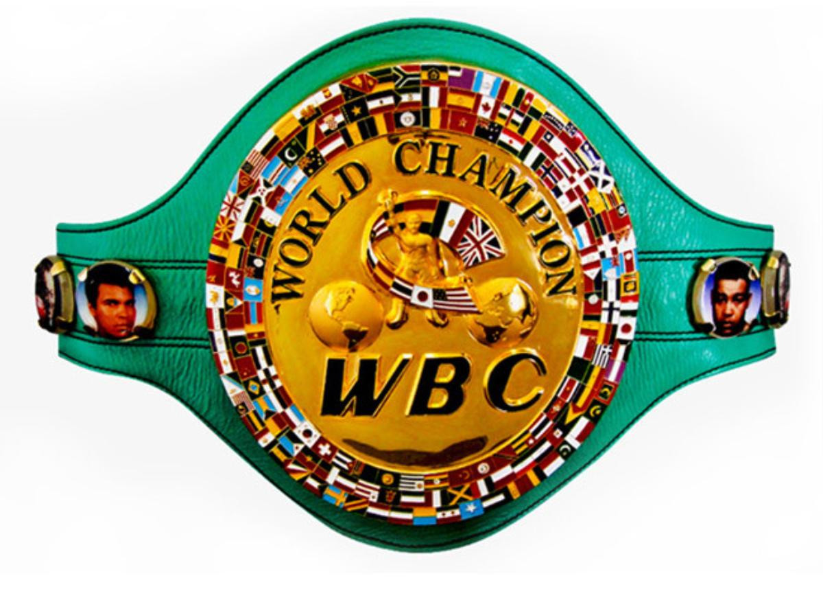 Hạ knock-out đối thủ thần tốc, Trần Văn Thảo giành đai vô địch WBC lịch sử cho boxing Việt Nam Ảnh 3