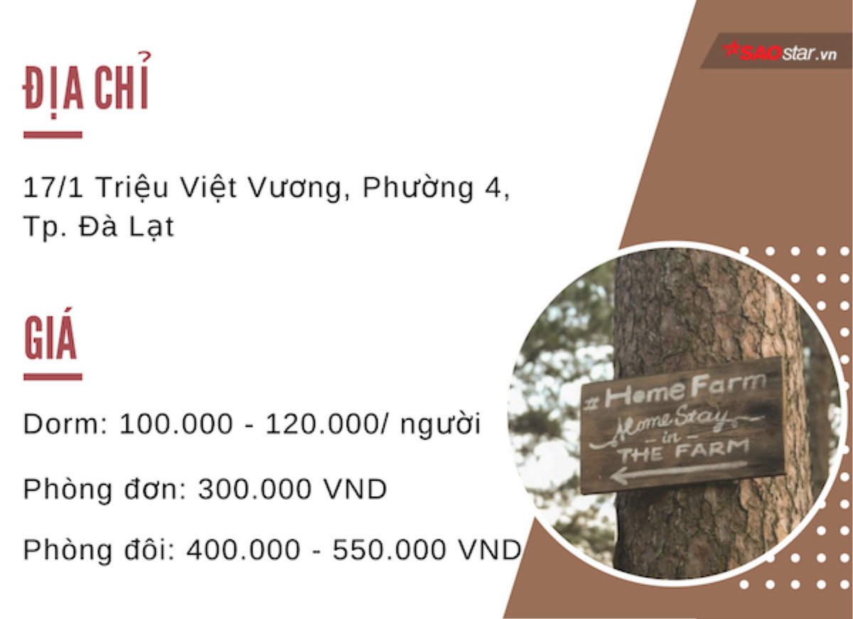 Trú đông tại những homestay vô cùng ấm áp tại Đà Lạt Ảnh 24