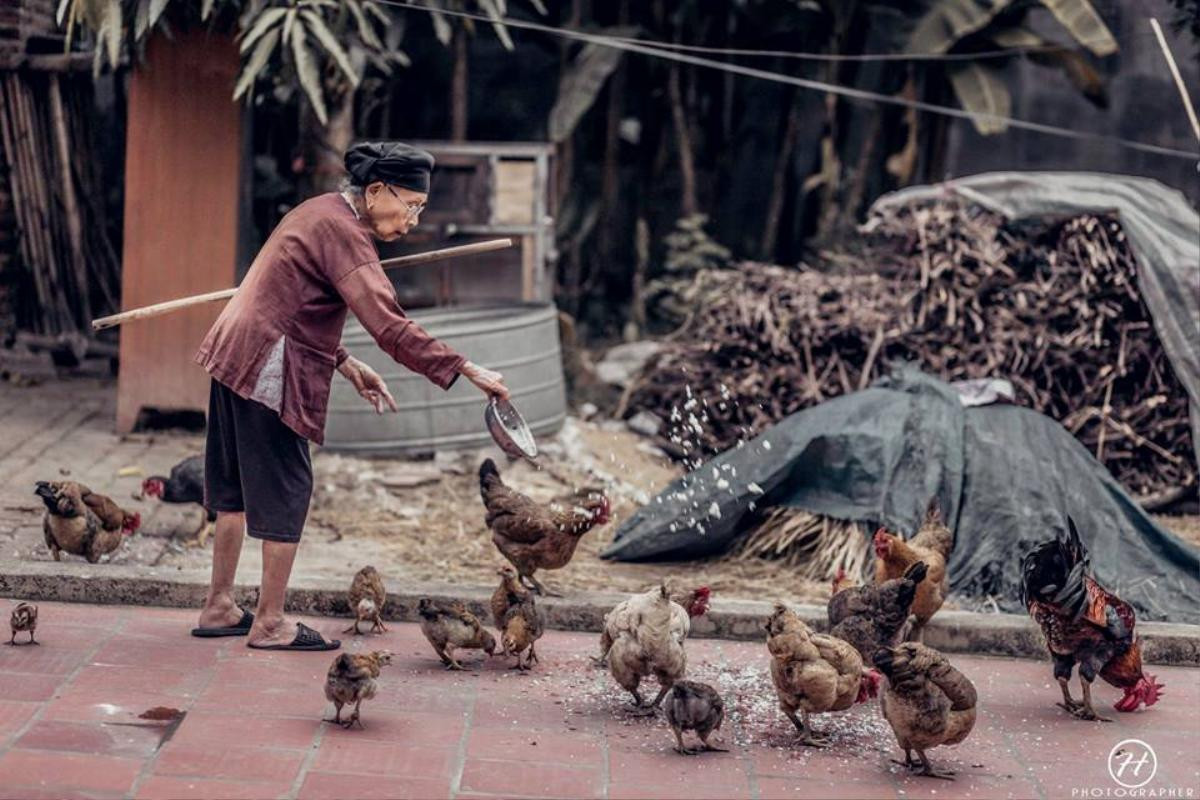 Bộ ảnh cúc họa mi 'phiên bản' bà ngoại khiến người ta phải mỉm cười ngay lập tức! Ảnh 4