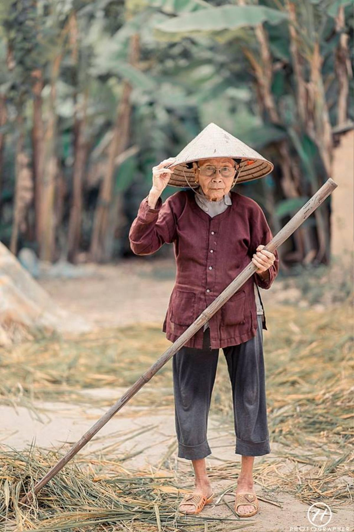 Bộ ảnh cúc họa mi 'phiên bản' bà ngoại khiến người ta phải mỉm cười ngay lập tức! Ảnh 5