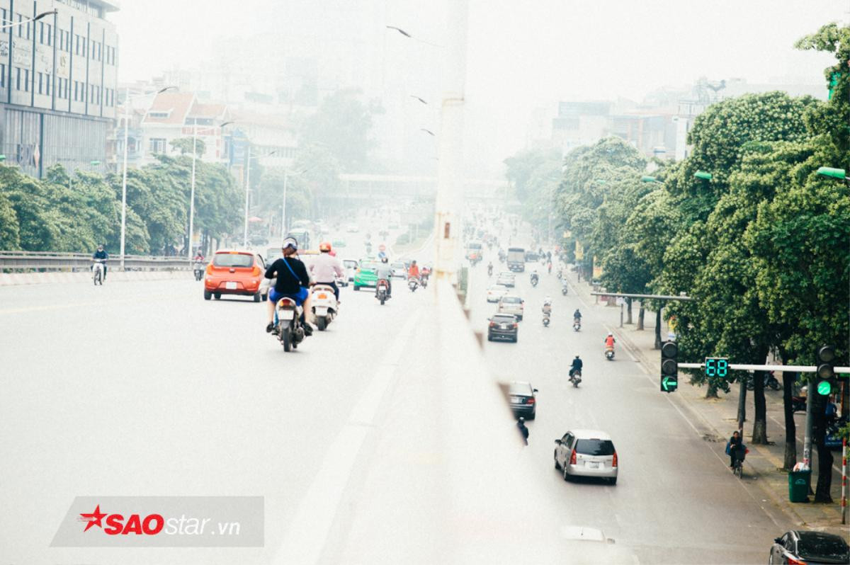 Nếu không muốn mùi hắc ám ảnh cả ngày, hội những người căm thù hoa sữa chớ dại đi qua các con đường này Ảnh 6