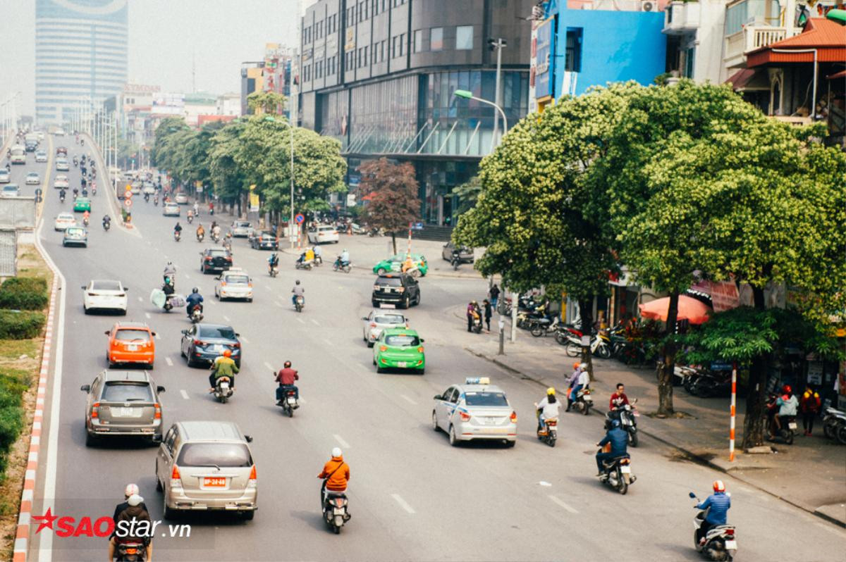 Nếu không muốn mùi hắc ám ảnh cả ngày, hội những người căm thù hoa sữa chớ dại đi qua các con đường này Ảnh 12