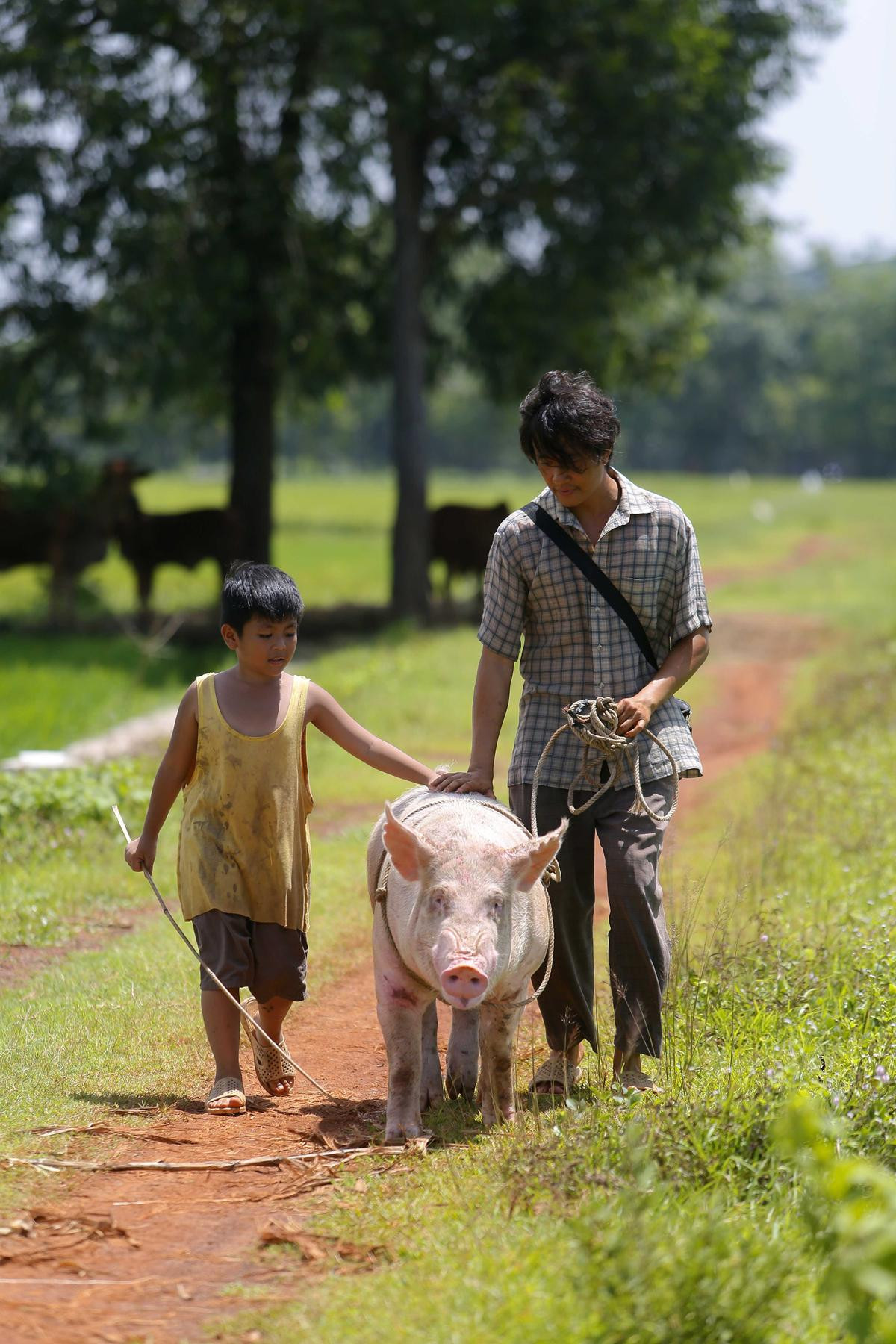 Lương Mạnh Hải 'than trời' vì bị đạo diễn Vũ Ngọc Đãng bắt ăn gián trong phim mới Ảnh 6