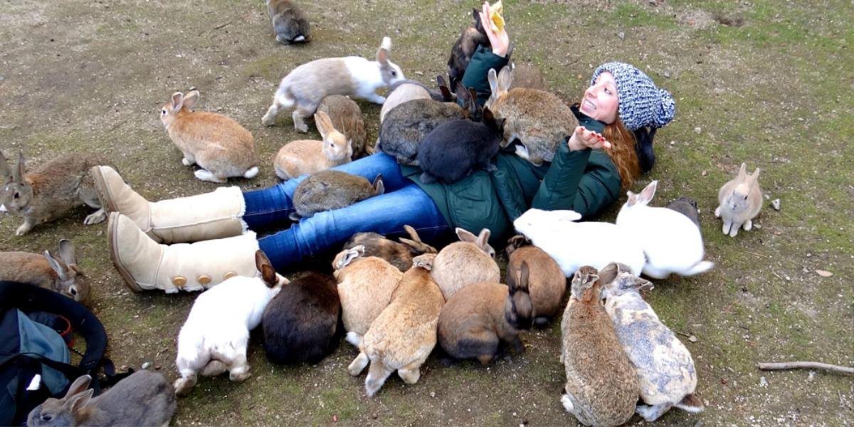 Việt Nam có đảo khỉ Cần Giờ, Nhật Bản có đảo thỏ Okunoshima Ảnh 6