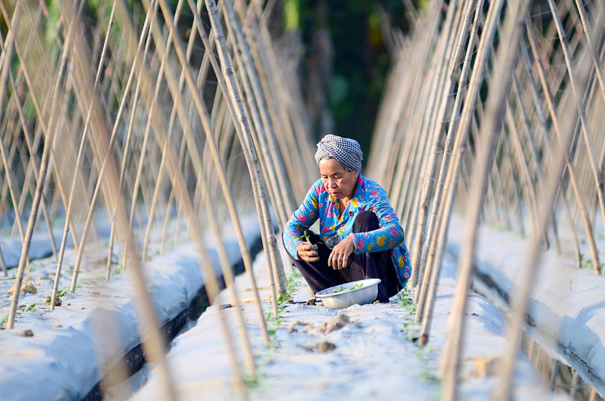 Cuộc sống của người miền Tây trong mùa nước nổi qua góc ảnh của một thầy giáo Ảnh 18