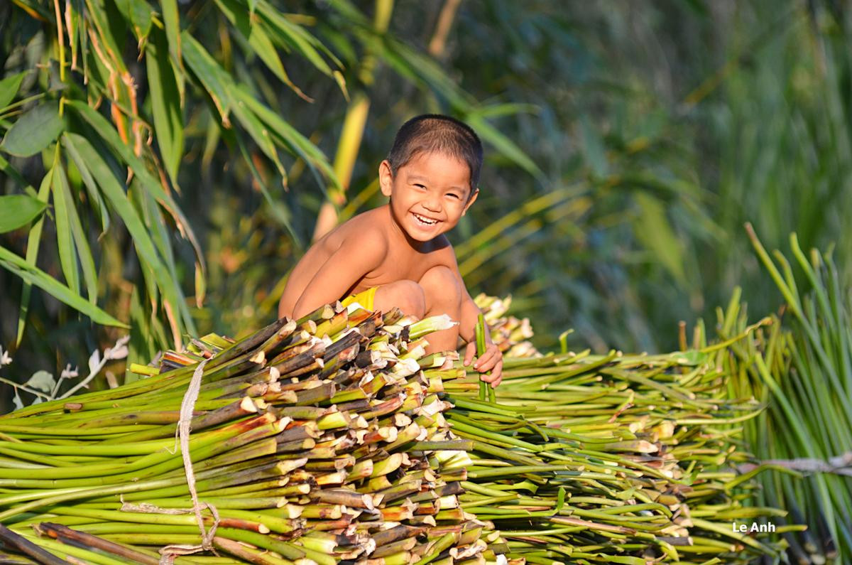 Cuộc sống của người miền Tây trong mùa nước nổi qua góc ảnh của một thầy giáo Ảnh 1