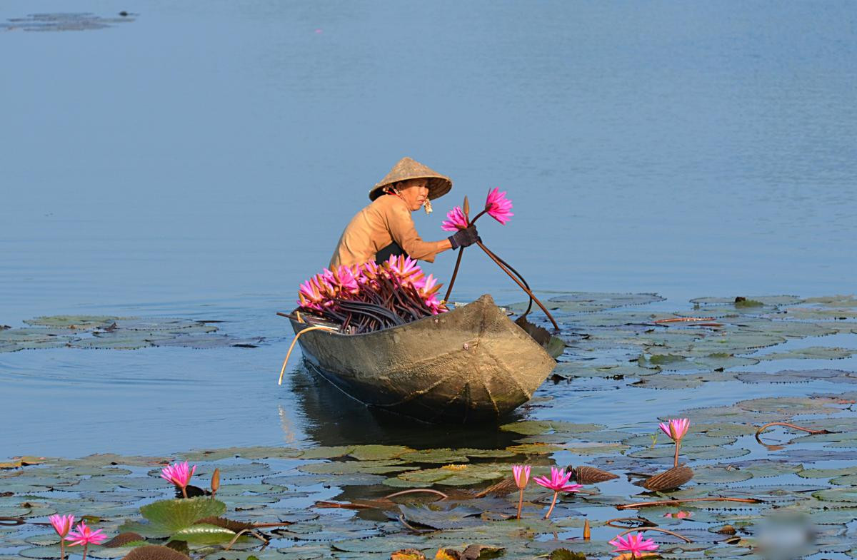 Cuộc sống của người miền Tây trong mùa nước nổi qua góc ảnh của một thầy giáo Ảnh 15