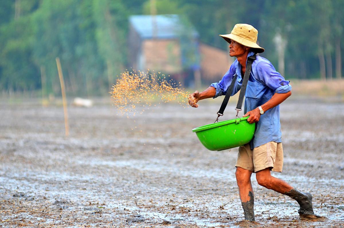 Cuộc sống của người miền Tây trong mùa nước nổi qua góc ảnh của một thầy giáo Ảnh 19