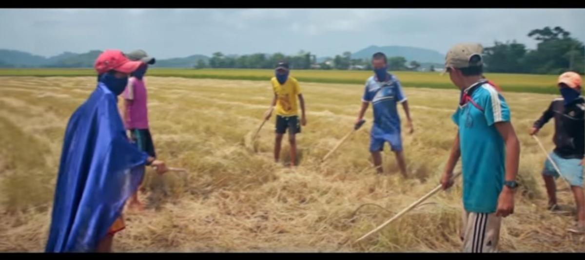 Phim ngắn 'Anh hùng rơm' gây bão cộng đồng mạng vì kể chuyện thời ấu thơ quá đỗi đáng yêu Ảnh 1