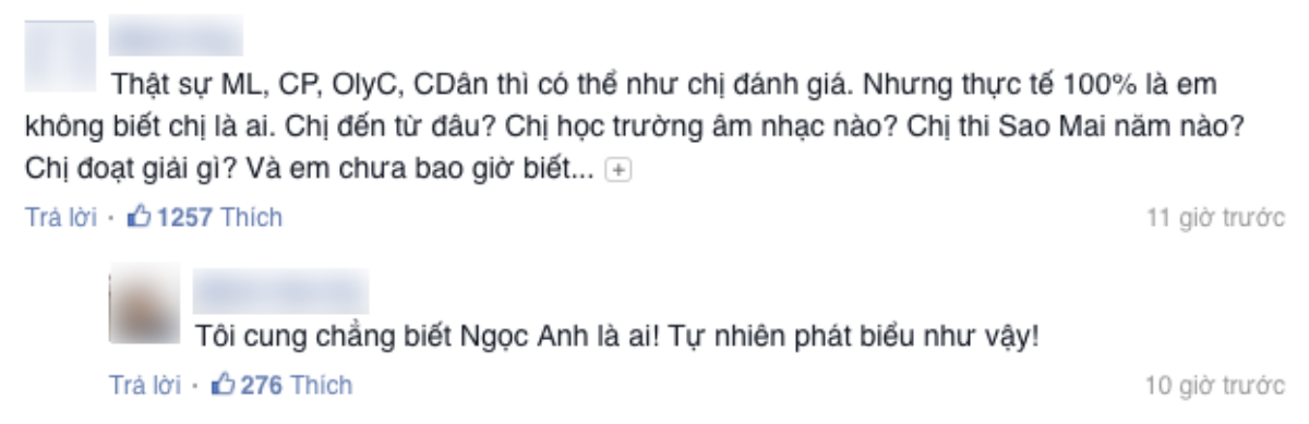 Ngọc Anh lên tiếng sau phát ngôn chê nhạc Only C - Chi Dân như cái chợ Ảnh 3